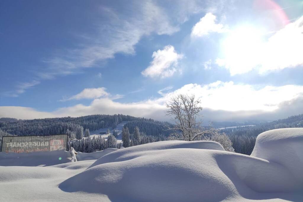 Allgaeu Apartment Rose Im Og Grunenbach Eksteriør billede