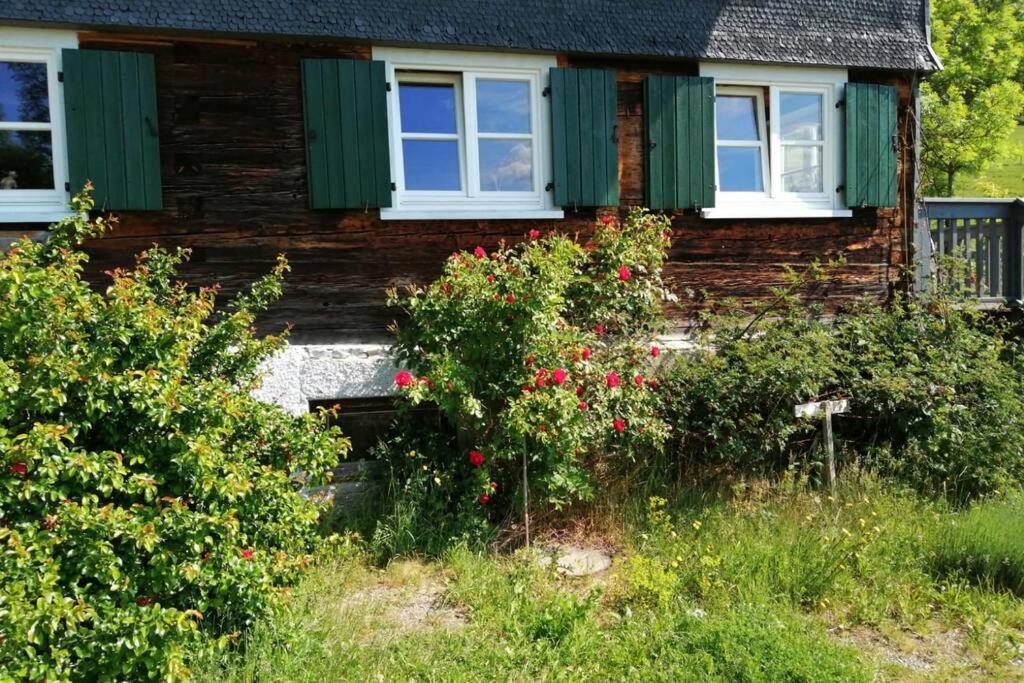 Allgaeu Apartment Rose Im Og Grunenbach Eksteriør billede